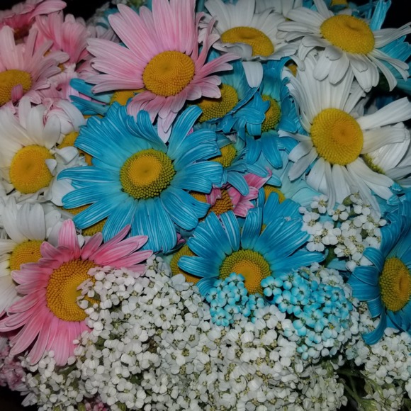 Meet your Posher, Kristie ~ Send Offers! - Picture 1 of 1